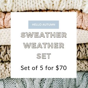 ✨️Sweater and Long Sleeve Bundle ✨️